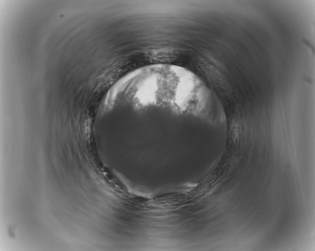 X0000102510271200808291741