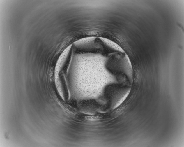 X0000102510273200808291741