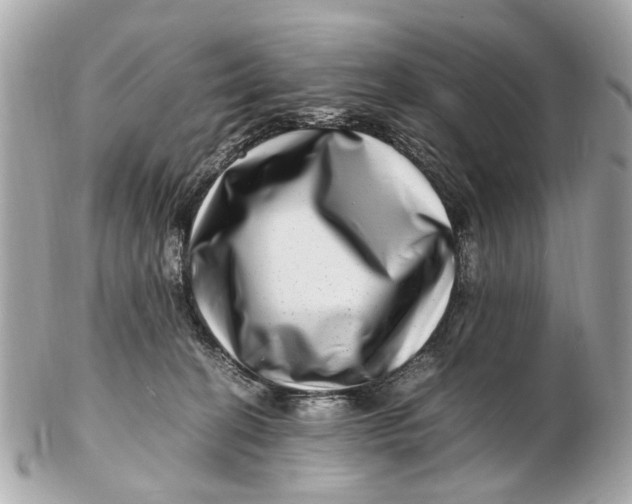X0000102510274200808291741