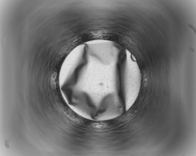 X0000102510275200808291741