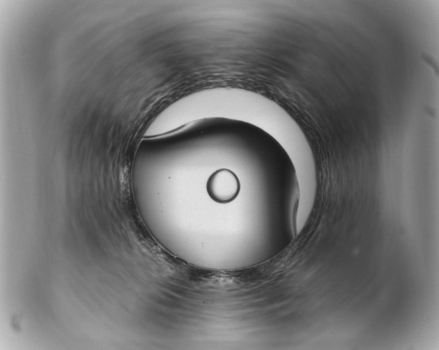 X0000102510276200808291741