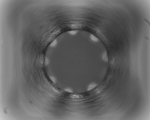 X0000102510277200808291741