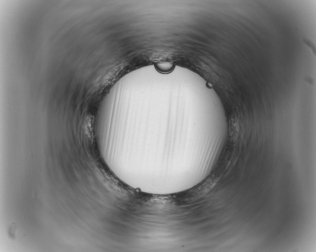 X0000102510280200808291741