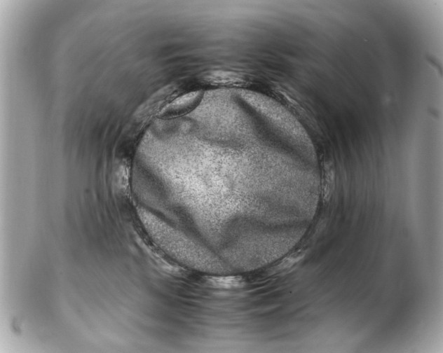 X0000102510281200808291741