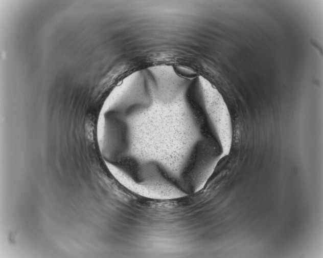 X0000102510282200808291741