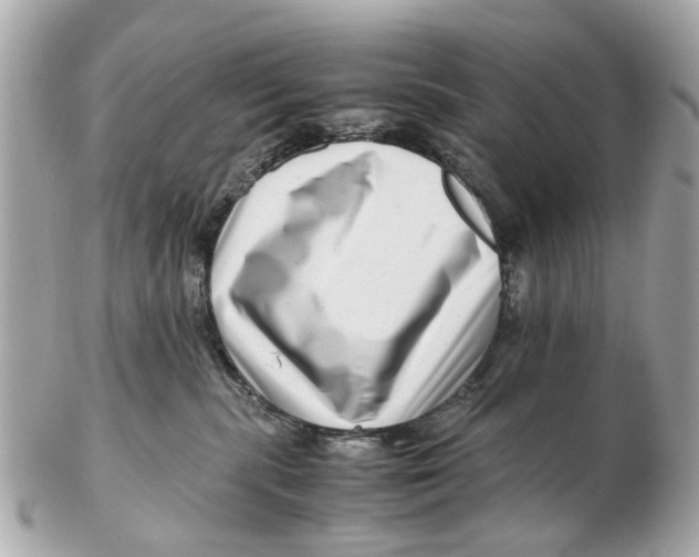 X0000102510283200808291741