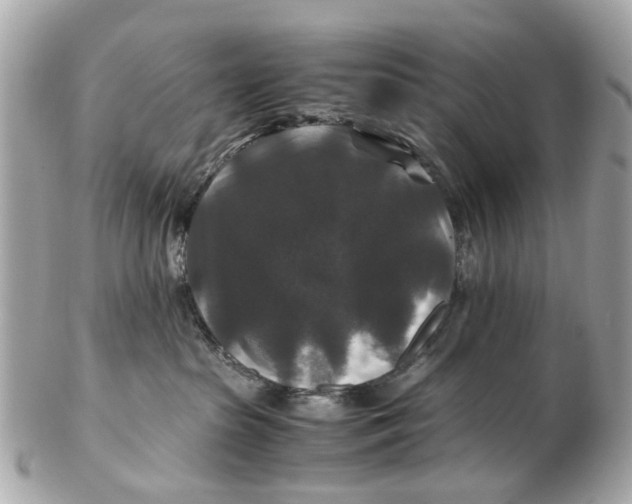 X0000102510285200808291741