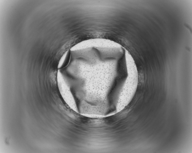 X0000102510286200808291741