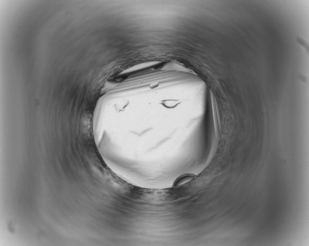 X0000102510288200808291741