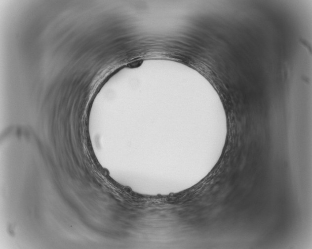 X0000102510289200808291740