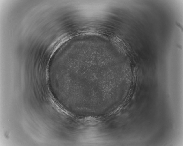 X0000102510290200808291740