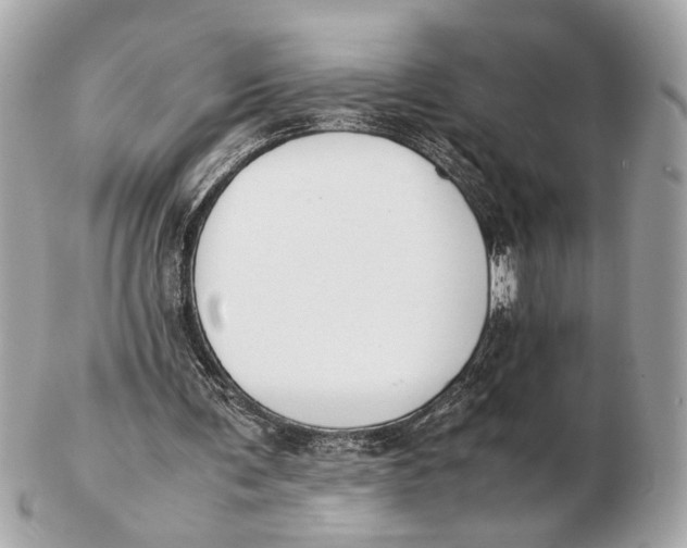 X0000102510291200808291740