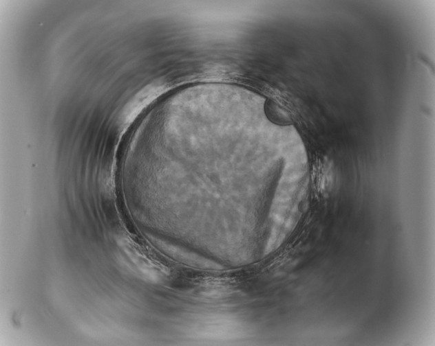 X0000102510292200808291740
