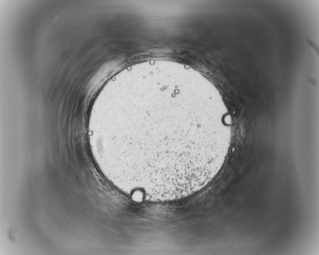 X0000102510293200808291740