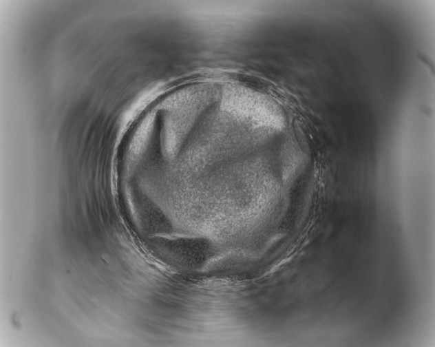 X0000102510294200808291740