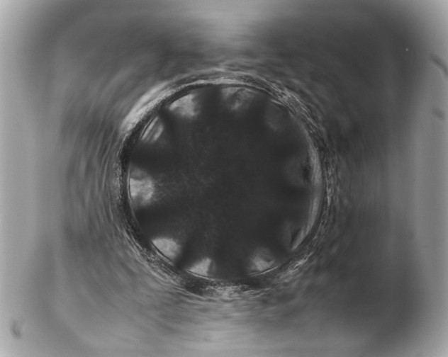 X0000102510295200808291740