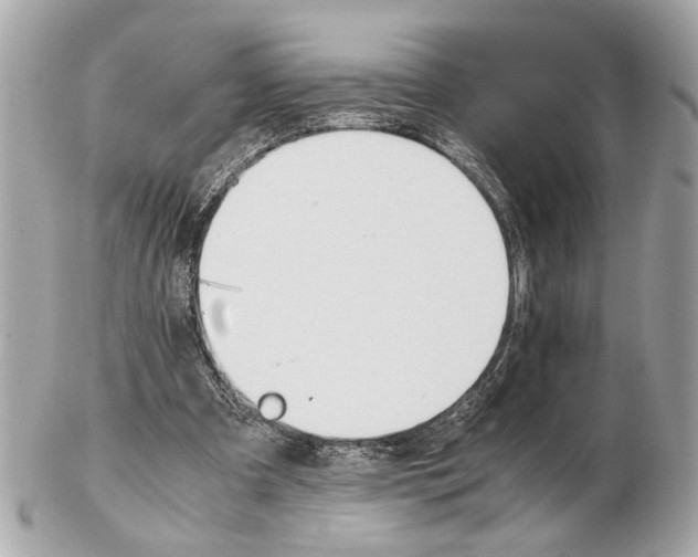 X0000102510297200808291740