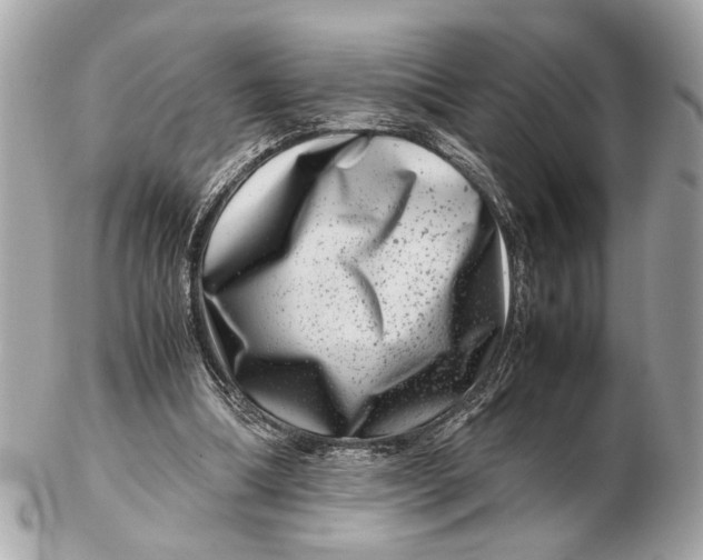 X0000102510298200808291740