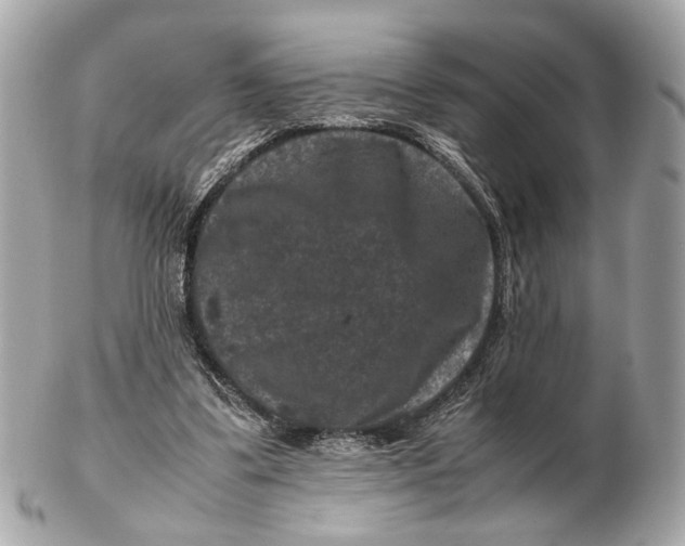 X0000102510299200808291740
