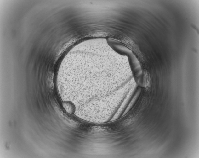 X0000102510300200808291740