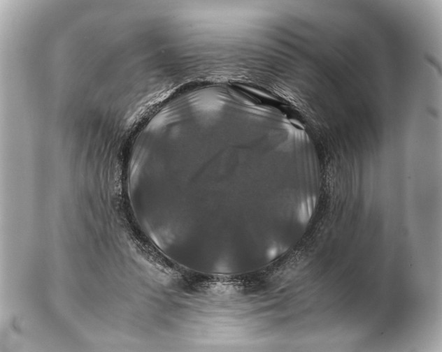 X0000102510303200808291740