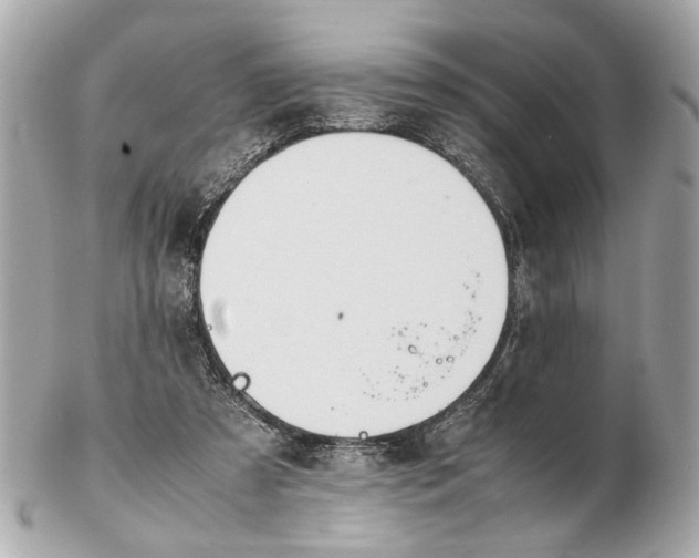 X0000102510305200808291740