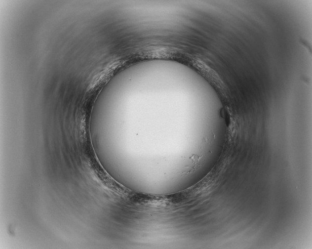X0000102510306200808291740