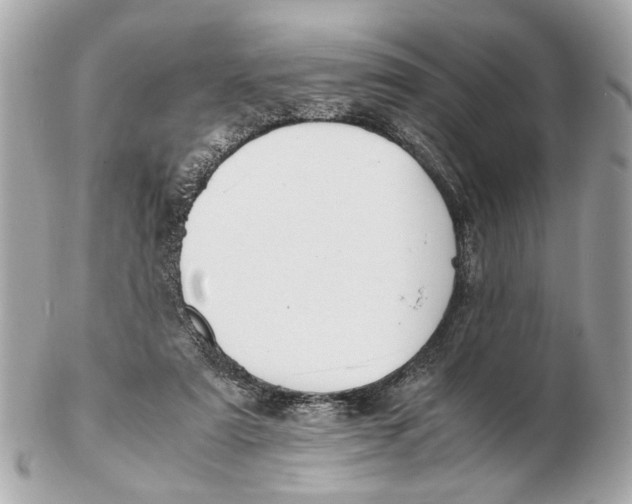 X0000102510307200808291740