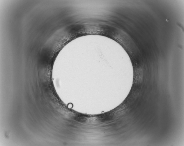X0000102510309200808291740