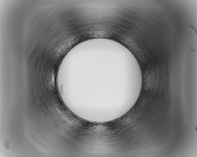 X0000102510310200808291740
