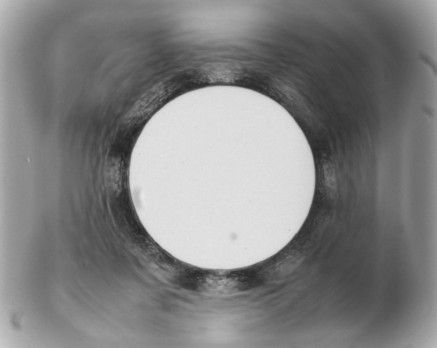 X0000102510311200808291740