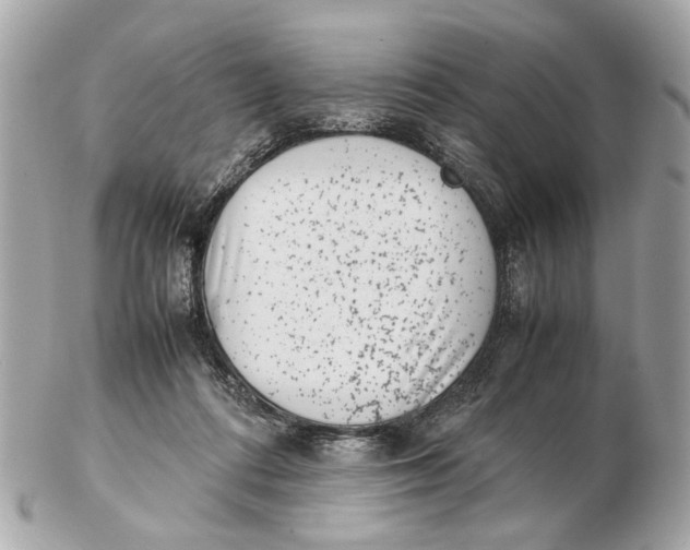 X0000102510312200808291740