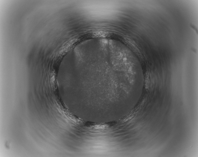 X0000102510314200808291740