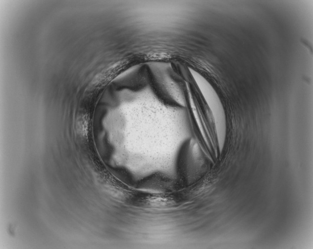 X0000102510315200808291740