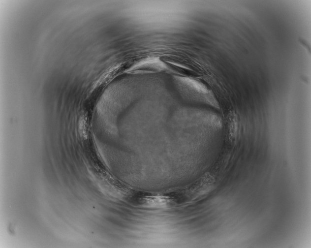 X0000102510316200808291740