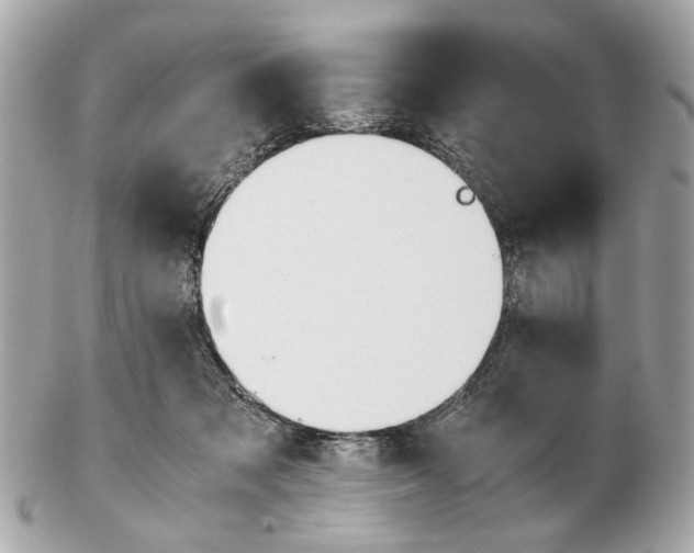 X0000102510317200808291740
