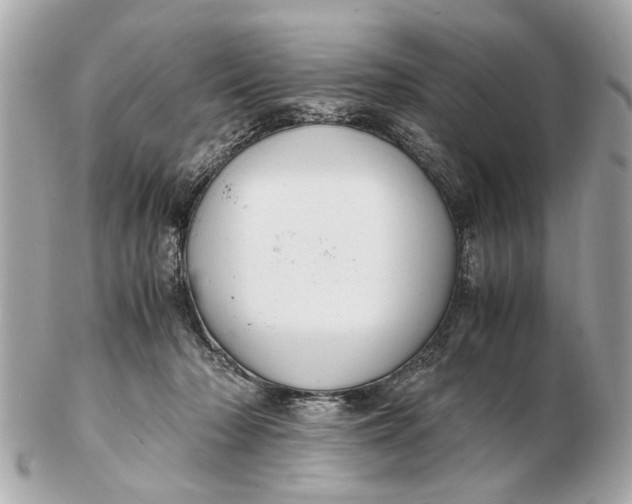 X0000102510318200808291740