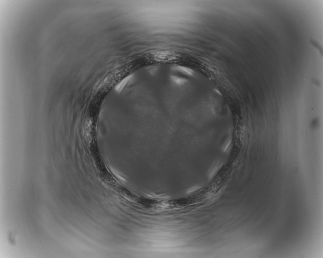 X0000102510319200808291740