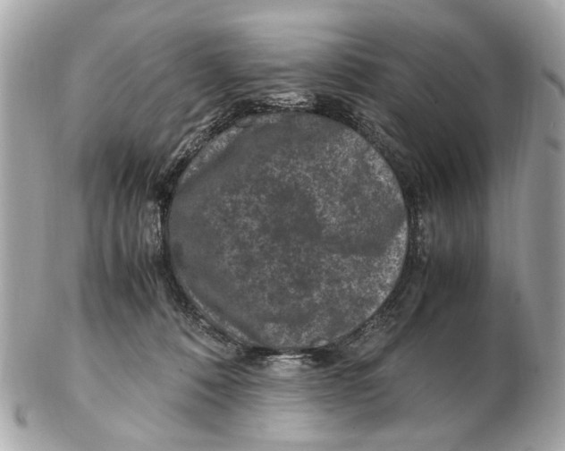 X0000102510320200808291740