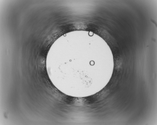 X0000102510321200808291740