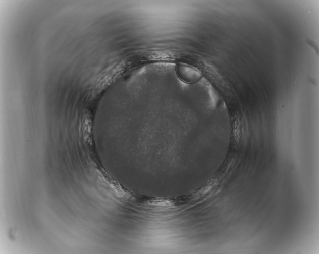 X0000102510322200808291740
