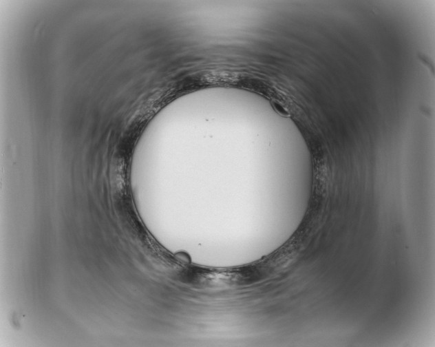 X0000102510323200808291740