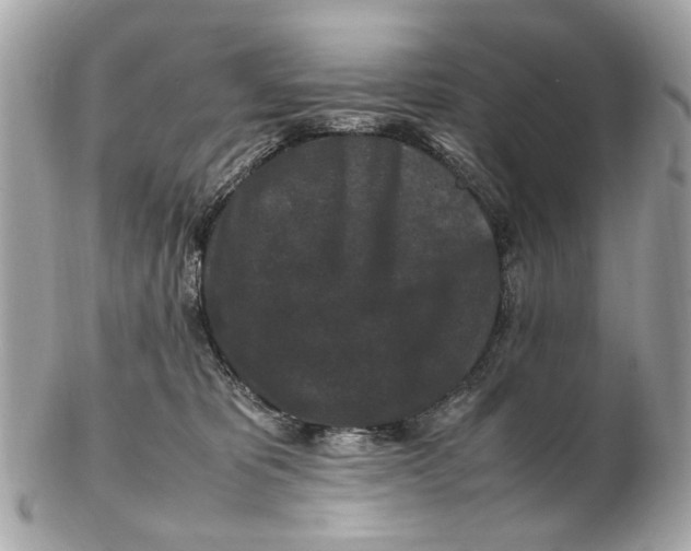 X0000102510325200808291740