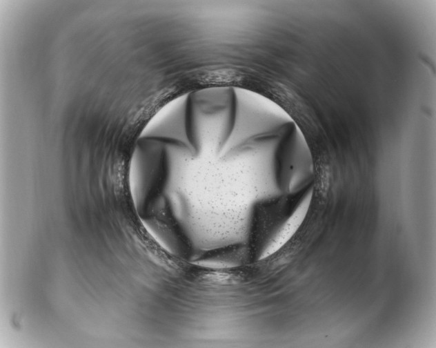 X0000102510326200808291740