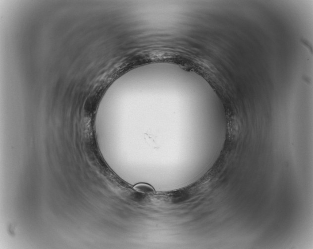 X0000102510327200808291740