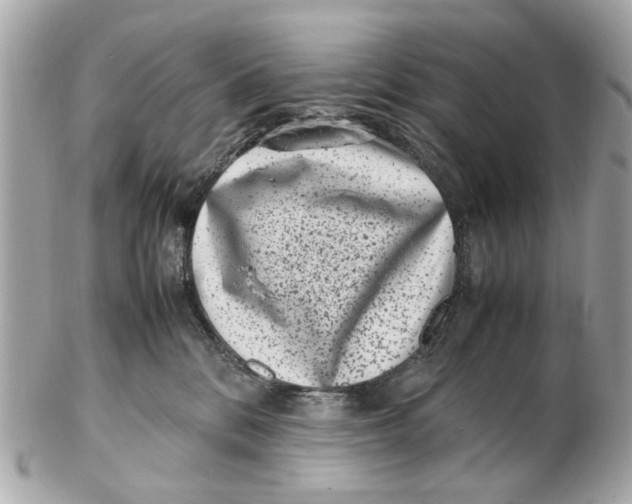 X0000102510328200808291740