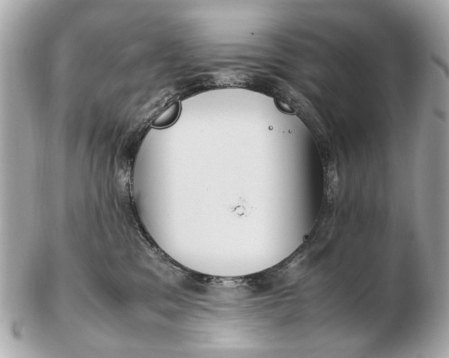X0000102510329200808291740