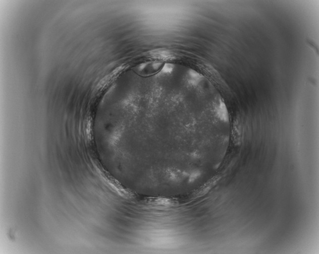 X0000102510330200808291740