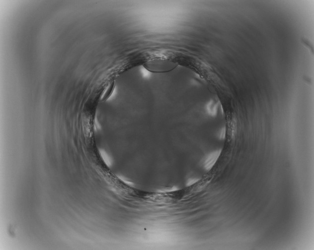 X0000102510331200808291740