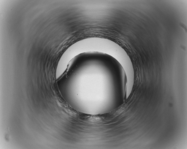 X0000102510332200808291740